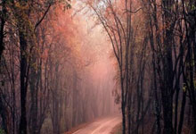 爱游戏官网入口-意甲豪门苦战平局，阵容调整延续低迷状态